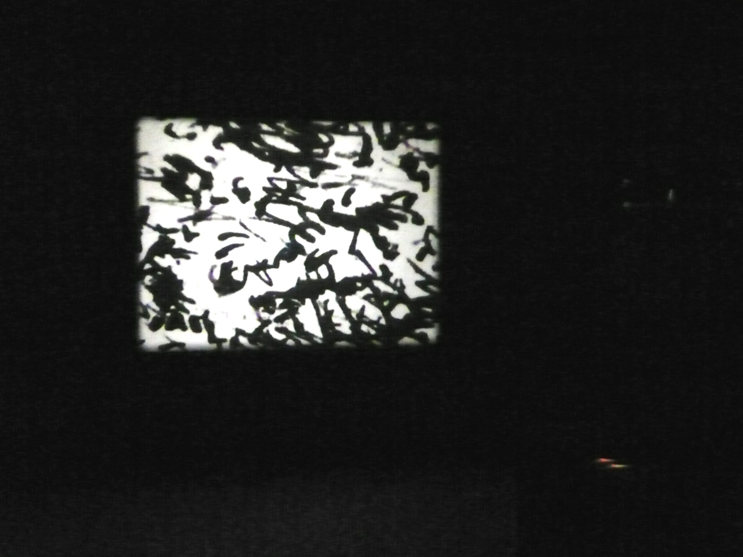 My Frontier is an Endless Wall of Points (after the mescaline drawings of Henri Michaux), 2007, 16mm black and white film, 10:24 minutes, continuous loop, Installation view, Greene Naftali, New York, 2010