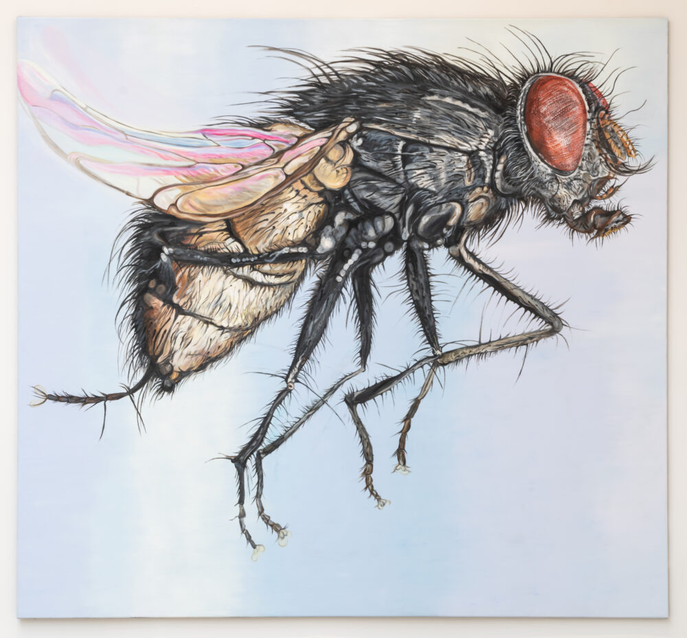 Quiz \u0026 Worksheet - Leonhard Euler Facts | Study.com, image size:1000x929