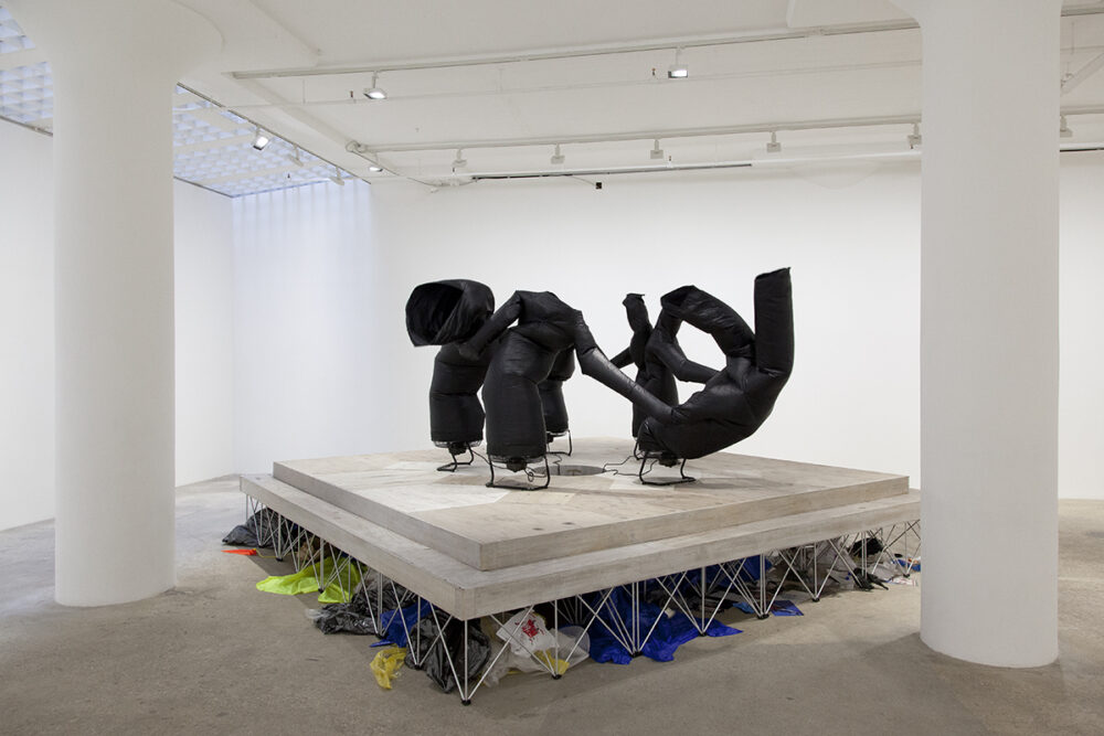 Paul Chan: Rhi Anima | Greene Naftali
